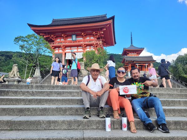 Viajero NipponTrip