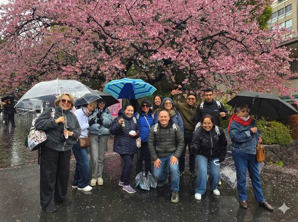 Viajero NipponTrip
