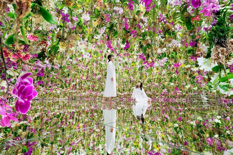 TeamLab Planets, Tokio