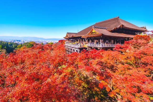 Bosque de bambú de Arashiyama