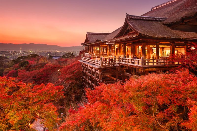Bosque de bambú de Arashiyama, Kioto