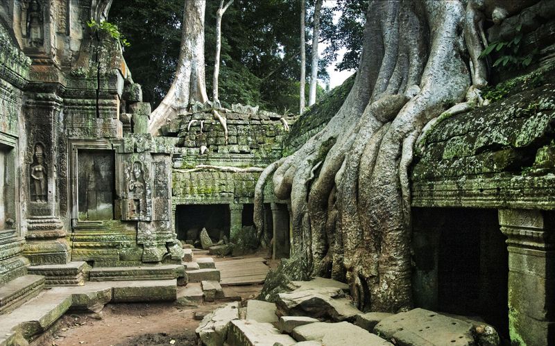 Templo Ta Prohm, Angkor, Camboya